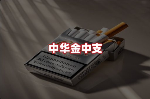 中华金中支